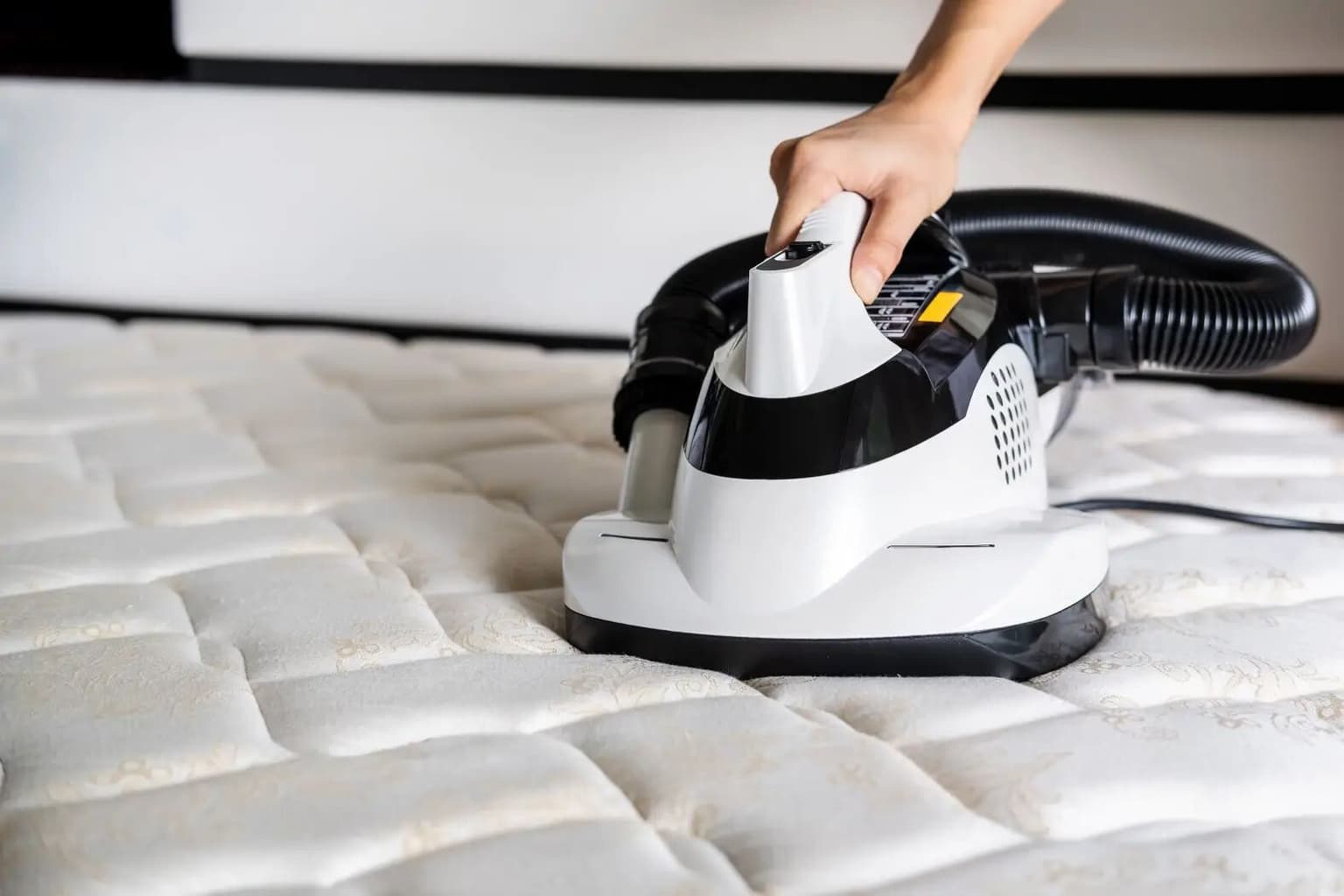 Mattress Deep Cleaning